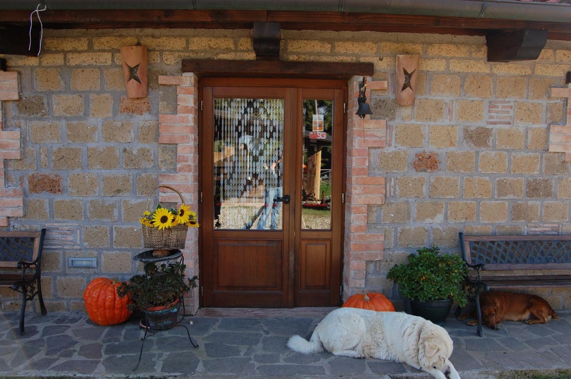 Bio Agriturismo Aia Del Tufo Sorano  ภายนอก รูปภาพ